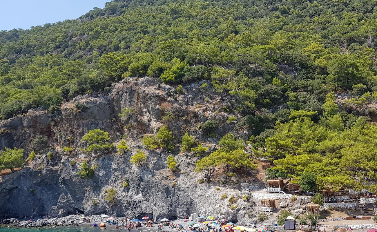 Photo de Aşı Koyu Plajı et ses beaux paysages