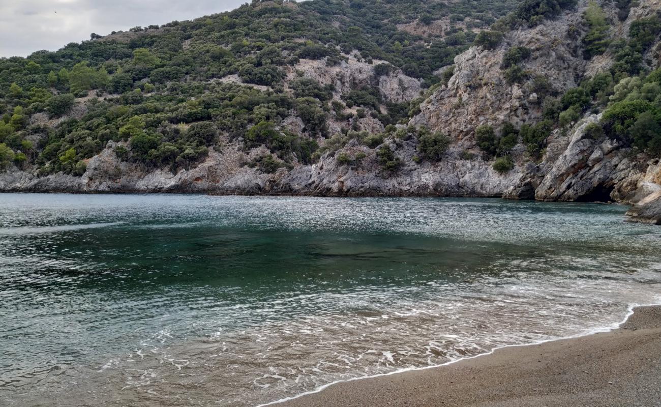 Photo de Vaccine Bay III avec sable beige de surface