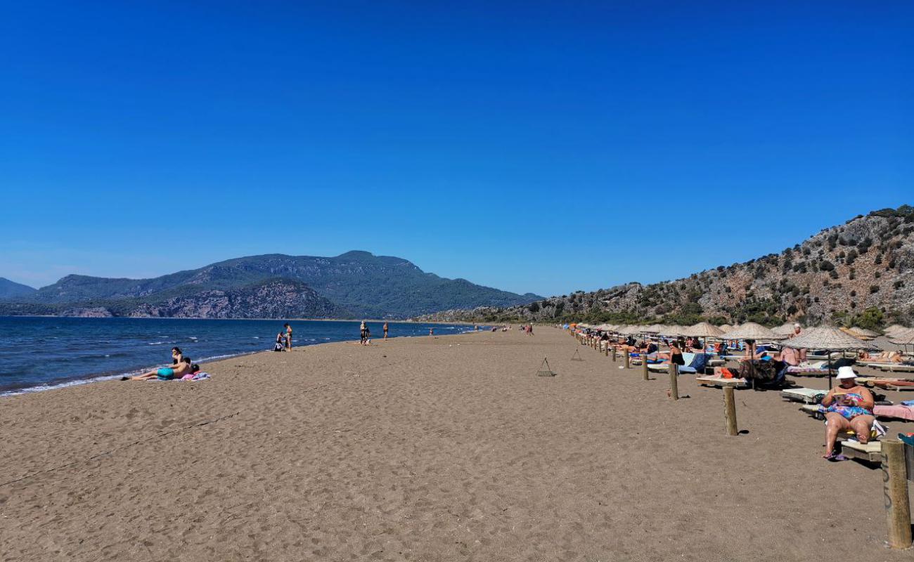 Photo de Plage d'Iztuzu avec sable fin brun de surface