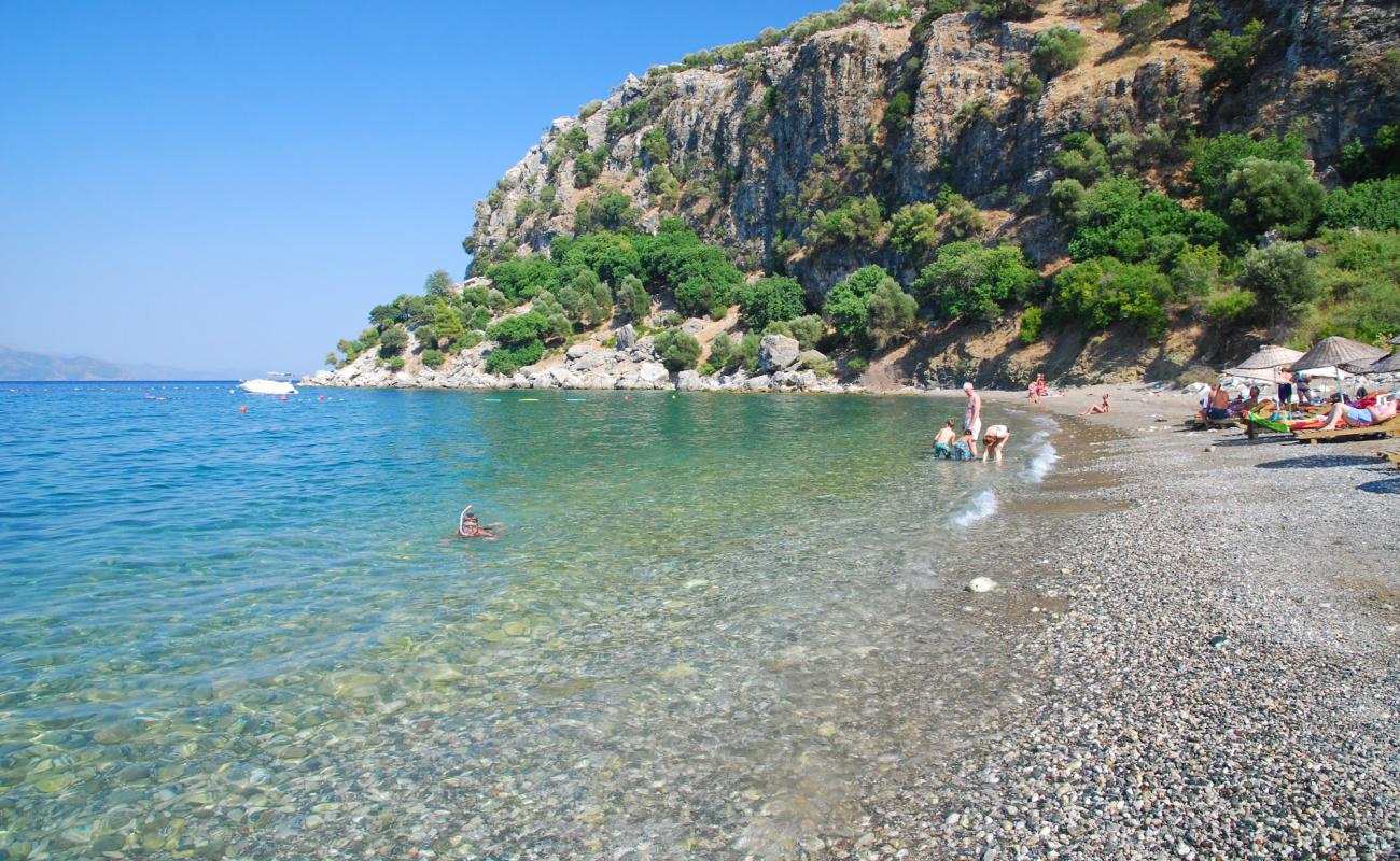 Photo de Amos beach avec petits galets gris de surface
