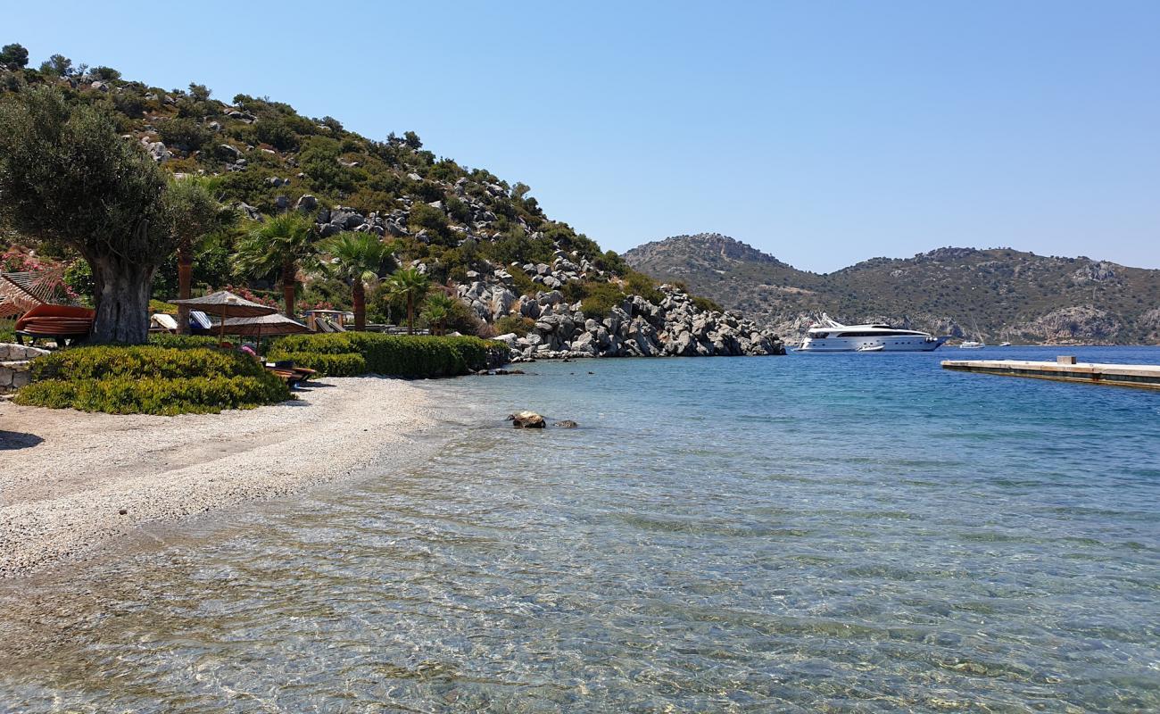 Photo de Kuzbuku beach avec petits galets beige de surface