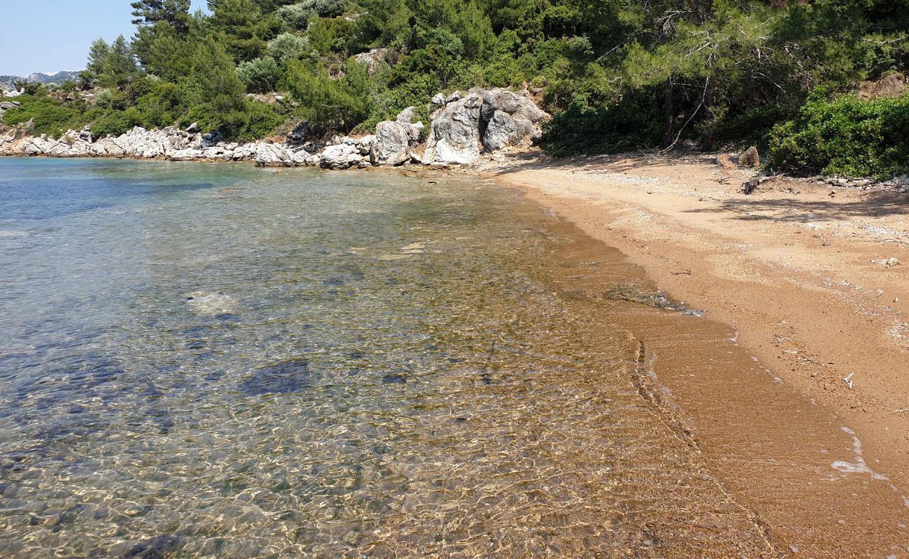 Photo de Huseyin Cem Salur avec sable brun de surface