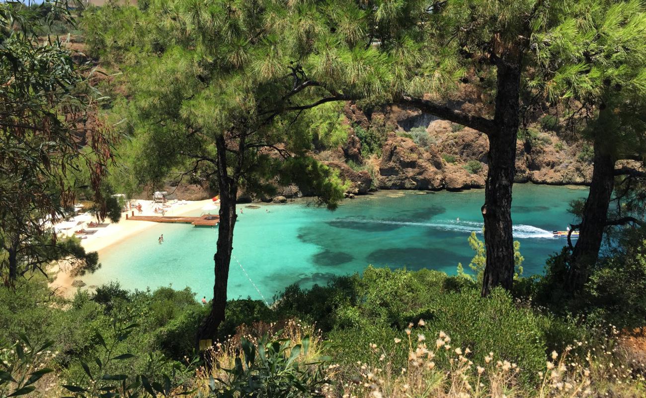 Photo de D Maris Bay II avec sable beige fin de surface