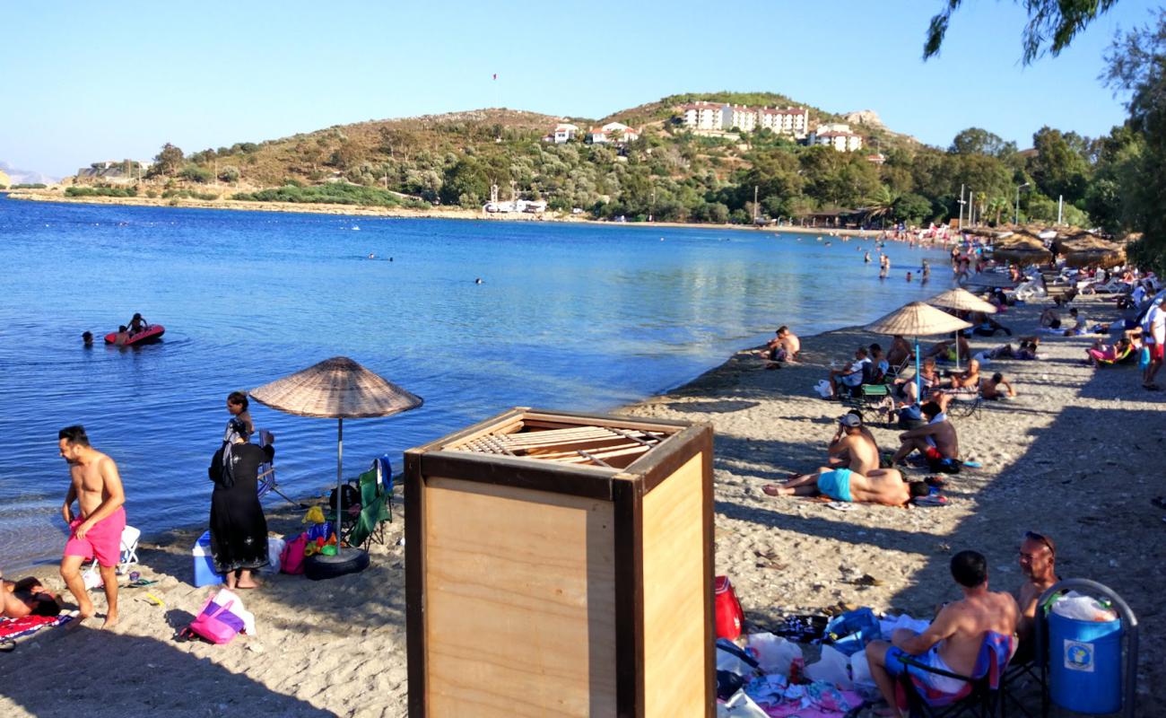 Photo de Talik beach avec caillou fin gris de surface