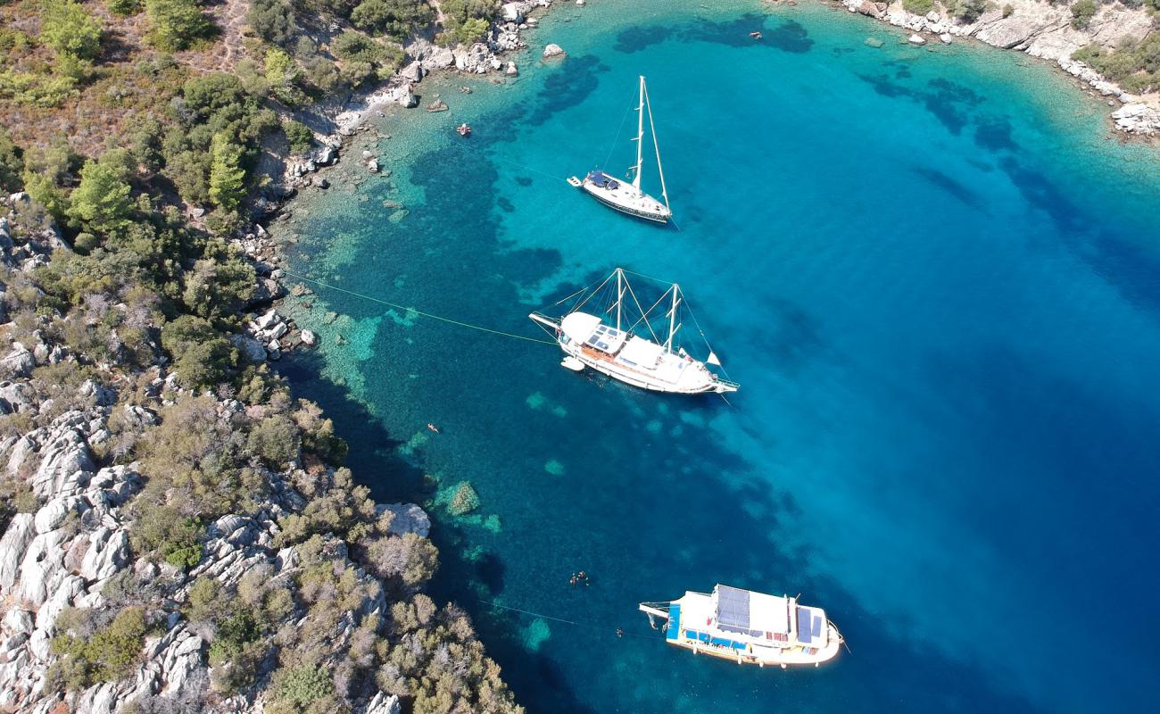 Photo de Akvaryum beach avec roches de surface