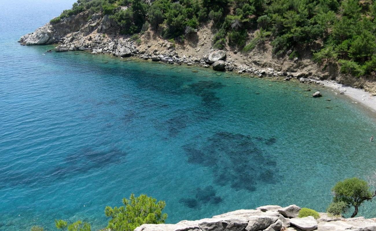 Photo de Akvaryum beach II avec caillou gris de surface