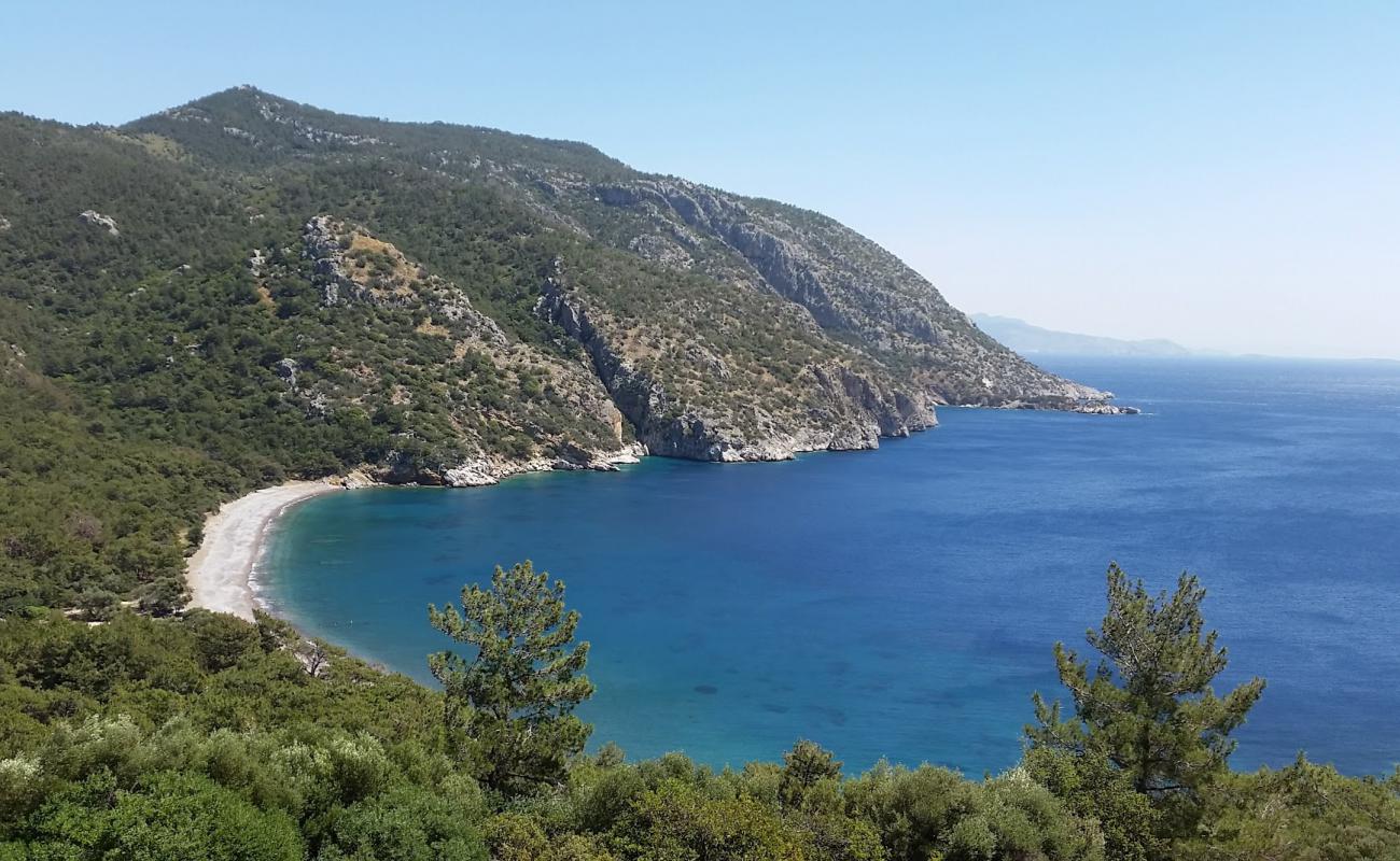 Photo de Pigbok beach avec sable gris avec caillou de surface