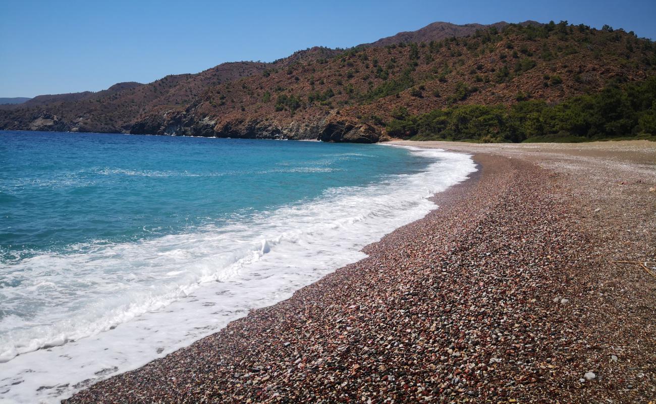 Photo de Pink Pebble Dark beach avec caillou brun de surface