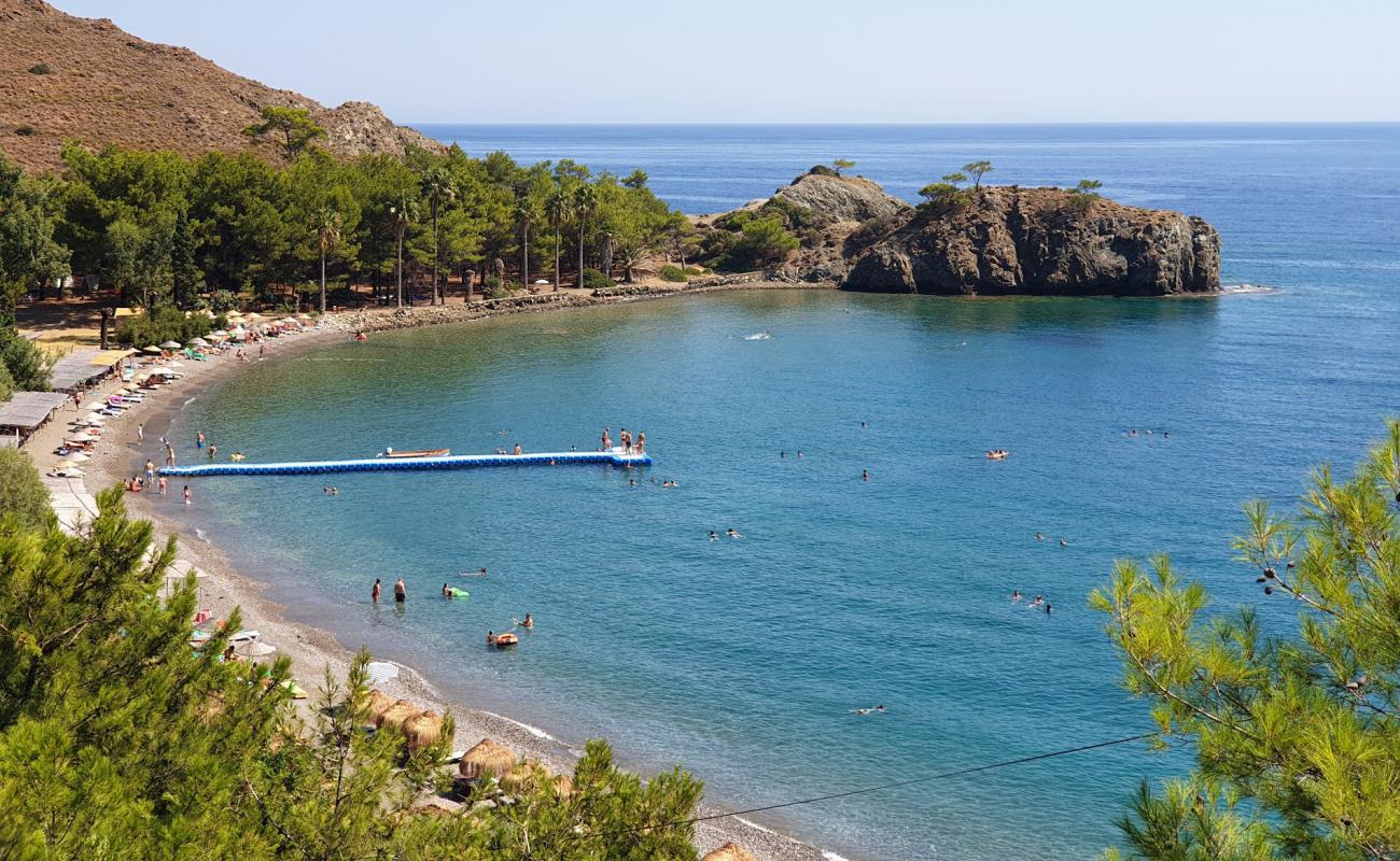 Photo de Red Bend beach avec caillou fin gris de surface