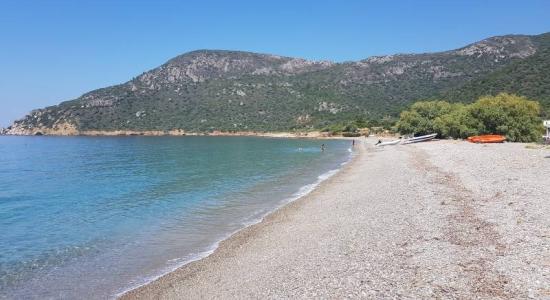 Murdala beach