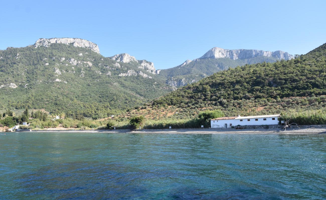 Photo de Cumali beach avec caillou gris de surface