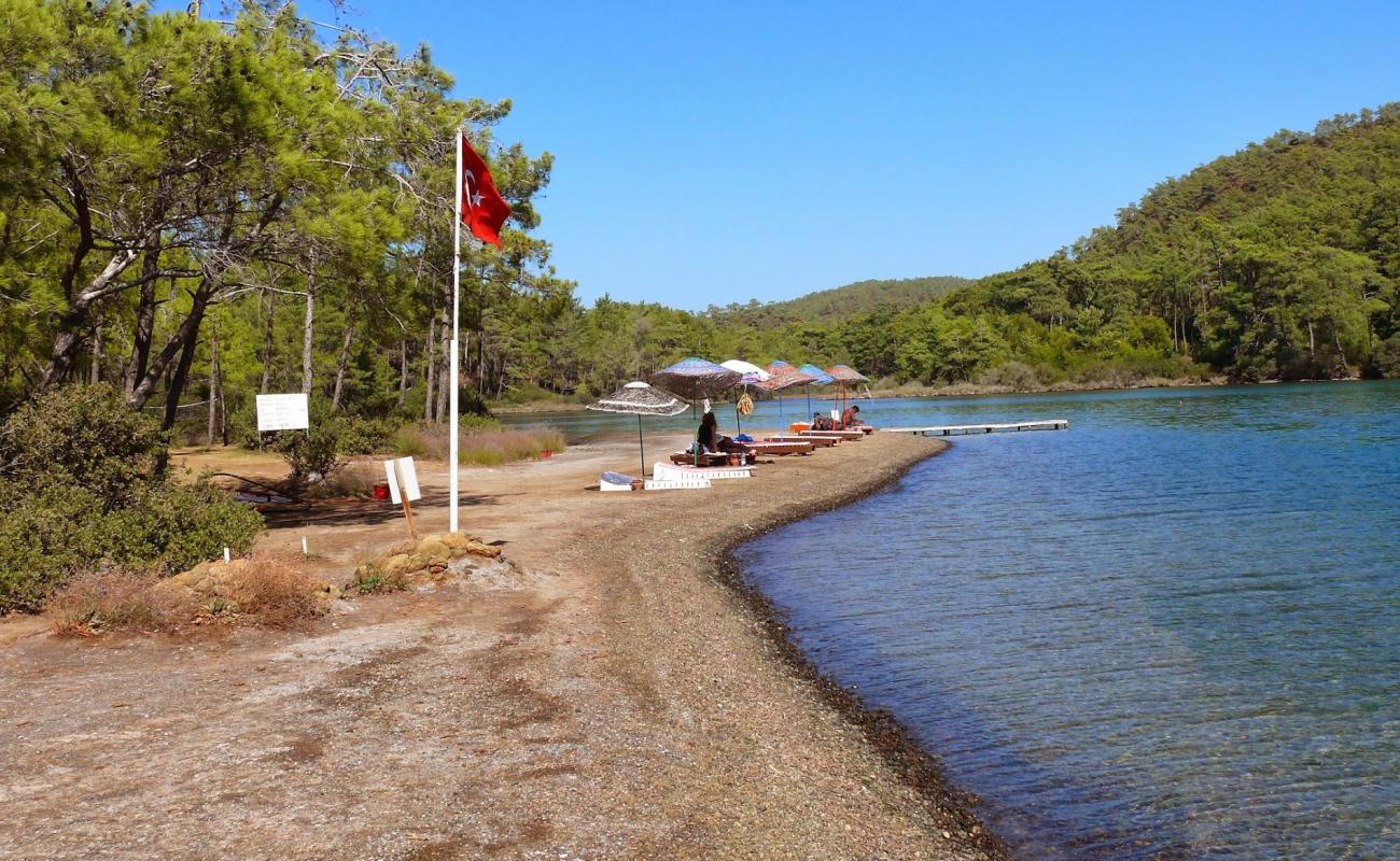 Photo de Izgim beach avec sable beige & galets de surface