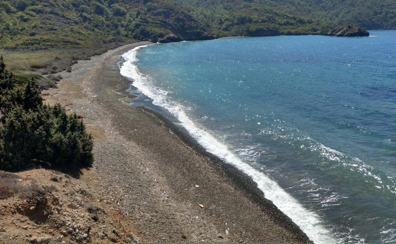 Photo de Kufre Bay beach IV avec galets gris de surface