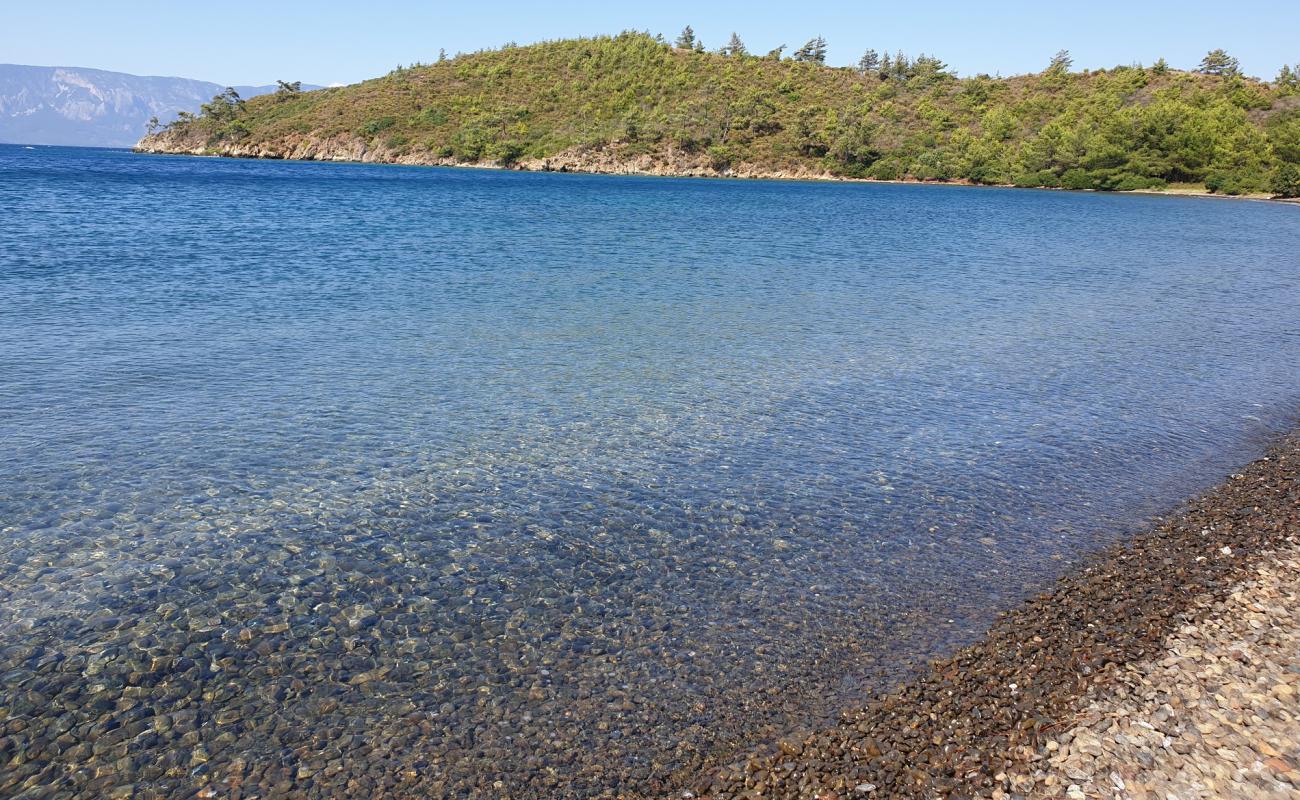 Photo de Cacate Bay beach avec caillou gris de surface