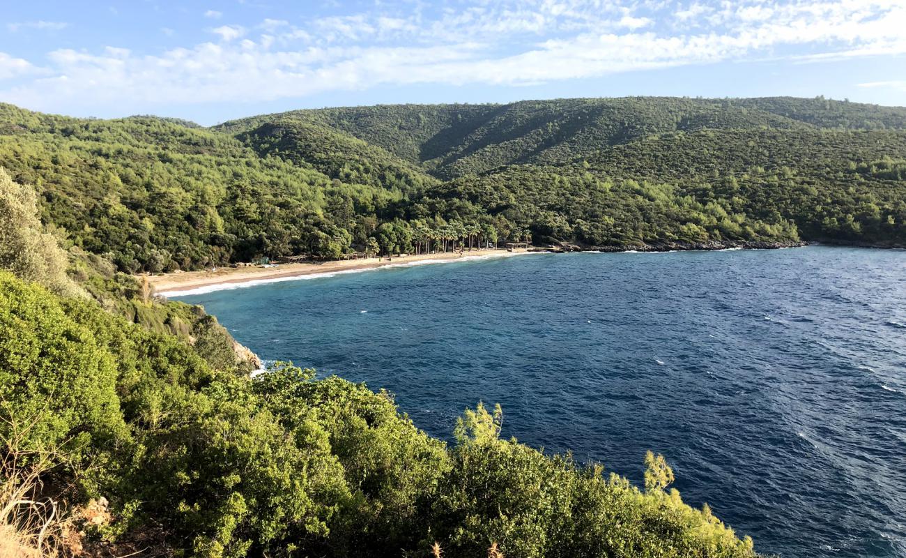 Photo de Bonjuk Bay beach avec sable noir avec caillou de surface