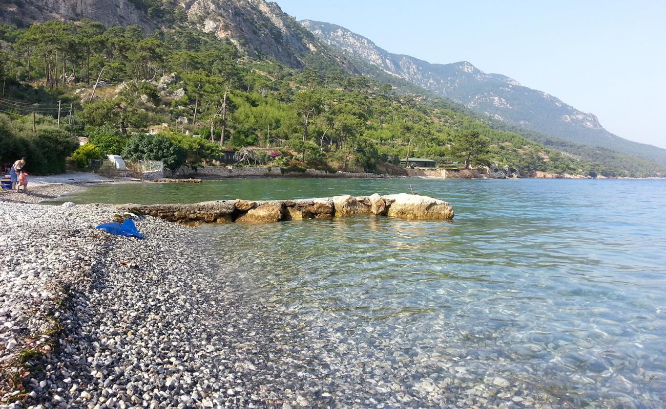 Photo de Chardak beach avec caillou gris de surface