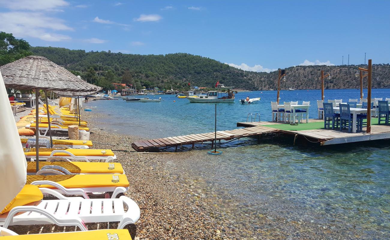 Photo de Cokertme beach avec galets beige de surface