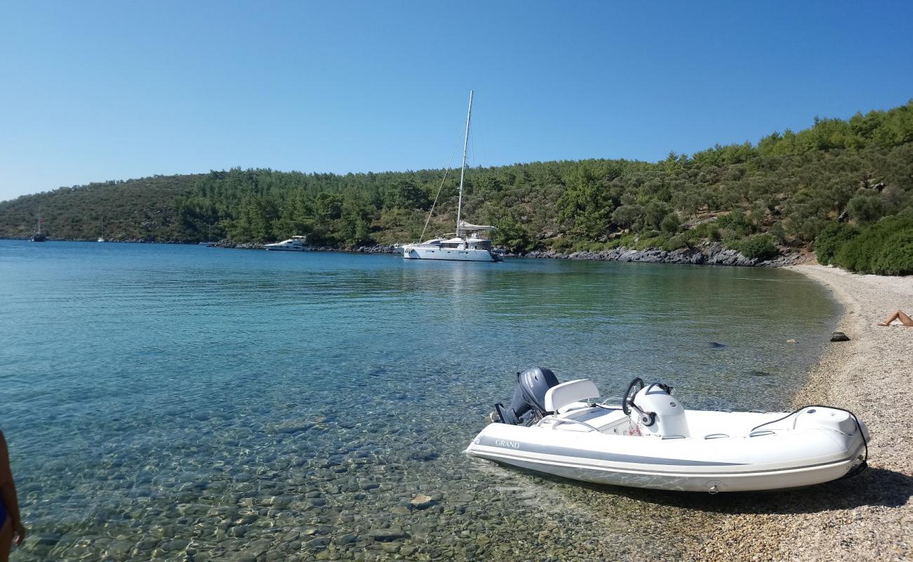 Photo de Cokertme beach II avec caillou clair de surface