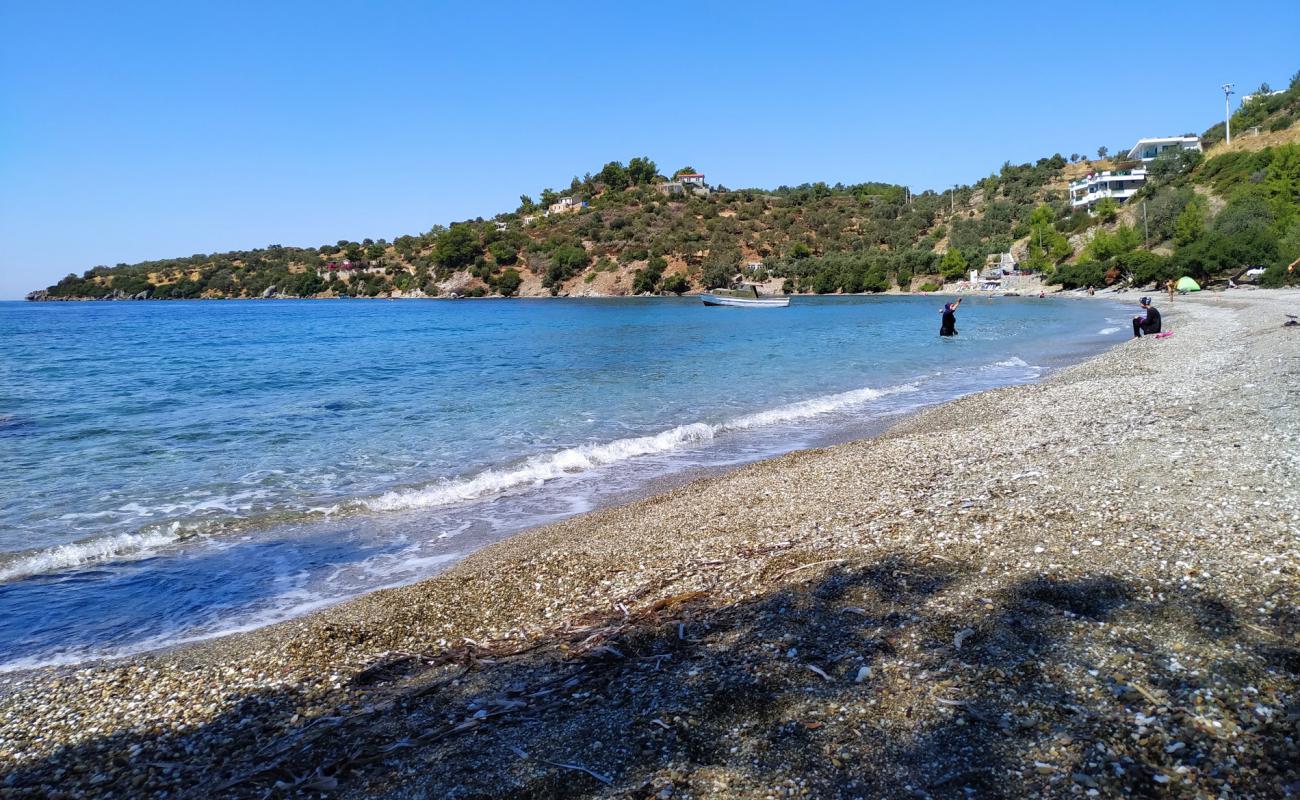 Photo de Ilgin beach avec caillou clair de surface