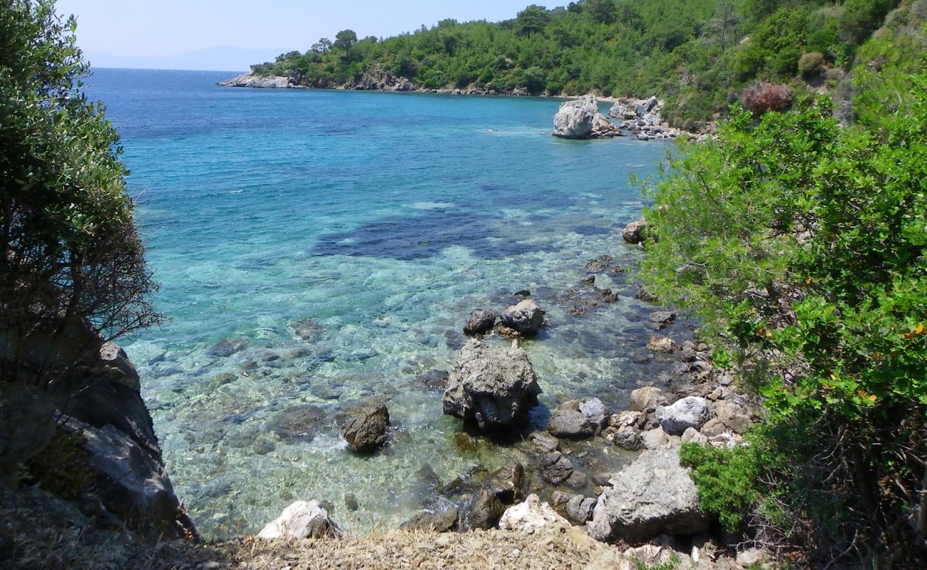 Photo de Ilgin beach V avec caillou clair de surface