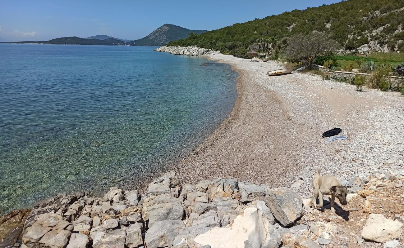 Photo de Dangir Bay avec caillou clair de surface