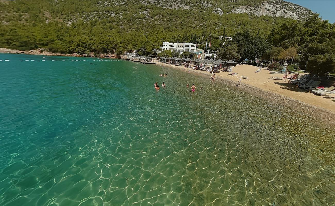 Photo de Plage Hapimag III avec l'eau cristalline de surface