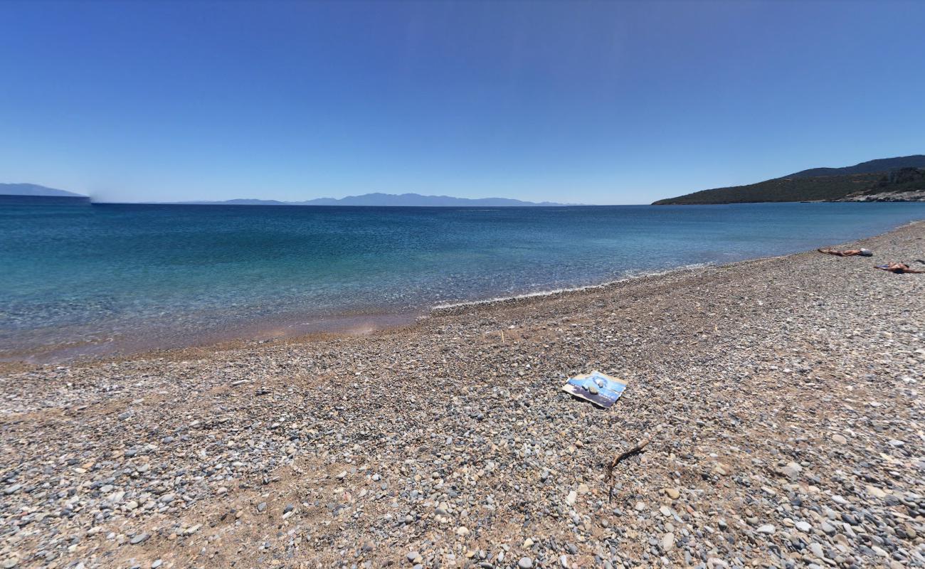 Photo de Yaliciftlik beach avec un niveau de propreté de très propre