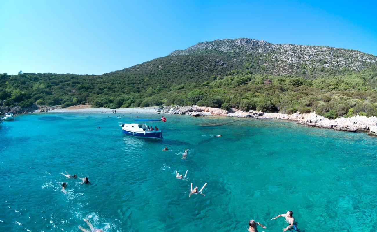 Photo de Aquarius Bay avec caillou clair de surface