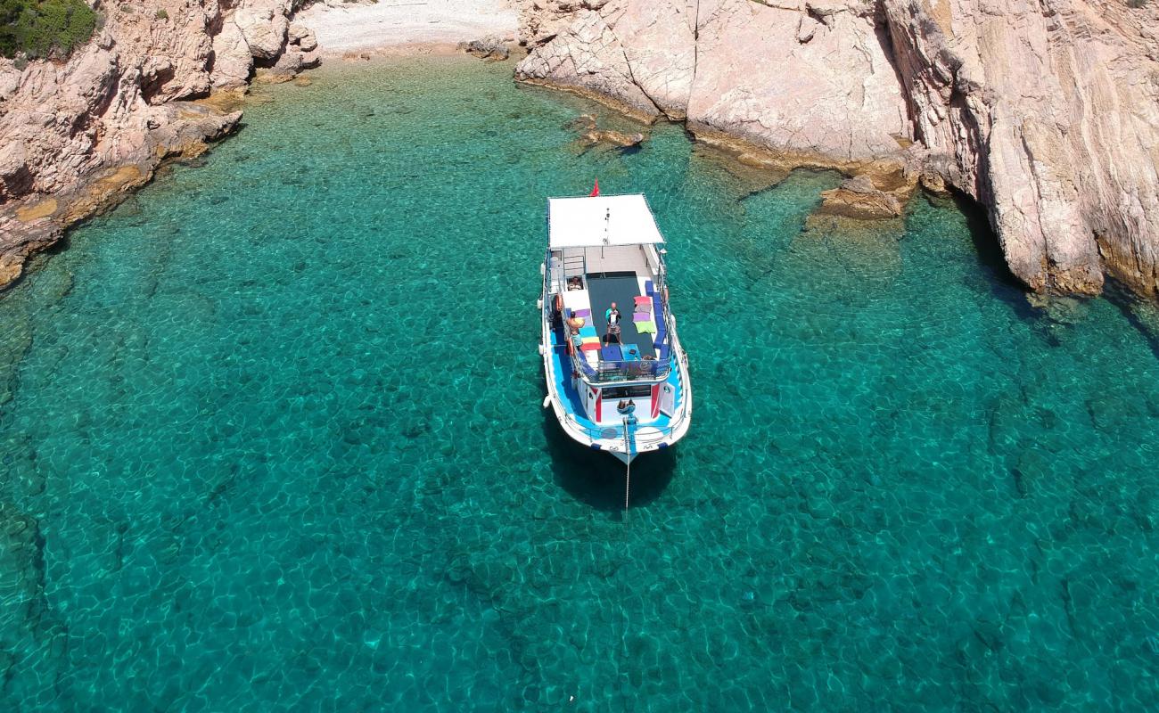 Photo de Pacoz Dive Site avec caillou clair de surface