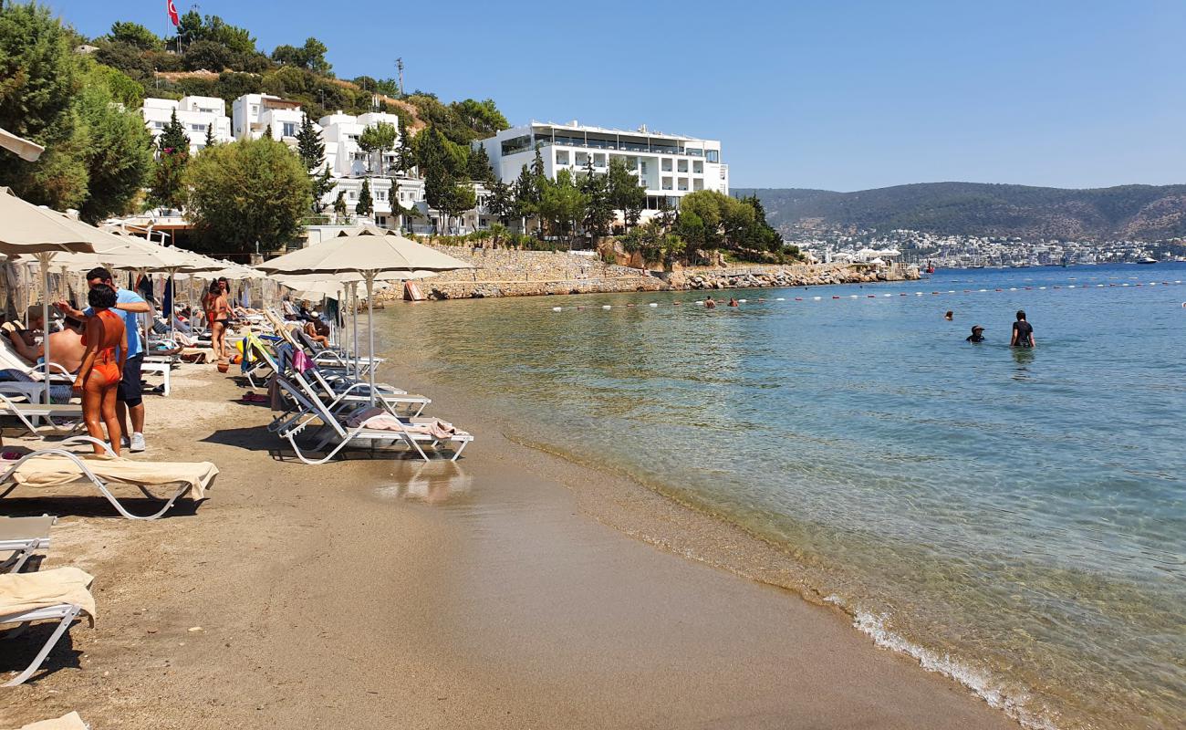 Photo de Bardakci Cove avec sable beige fin de surface