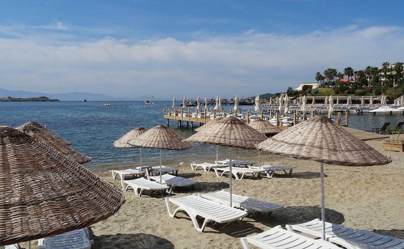 Photo de Platin Park Beach avec sable beige de surface