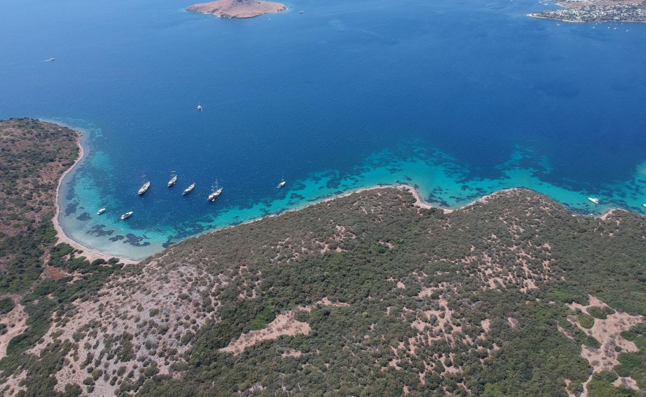 Photo de Akvaryum Bodrum avec galets beige de surface