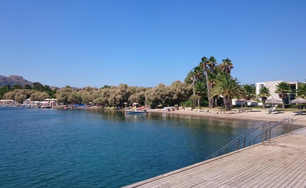 Photo de Dalga beach avec sable brun de surface