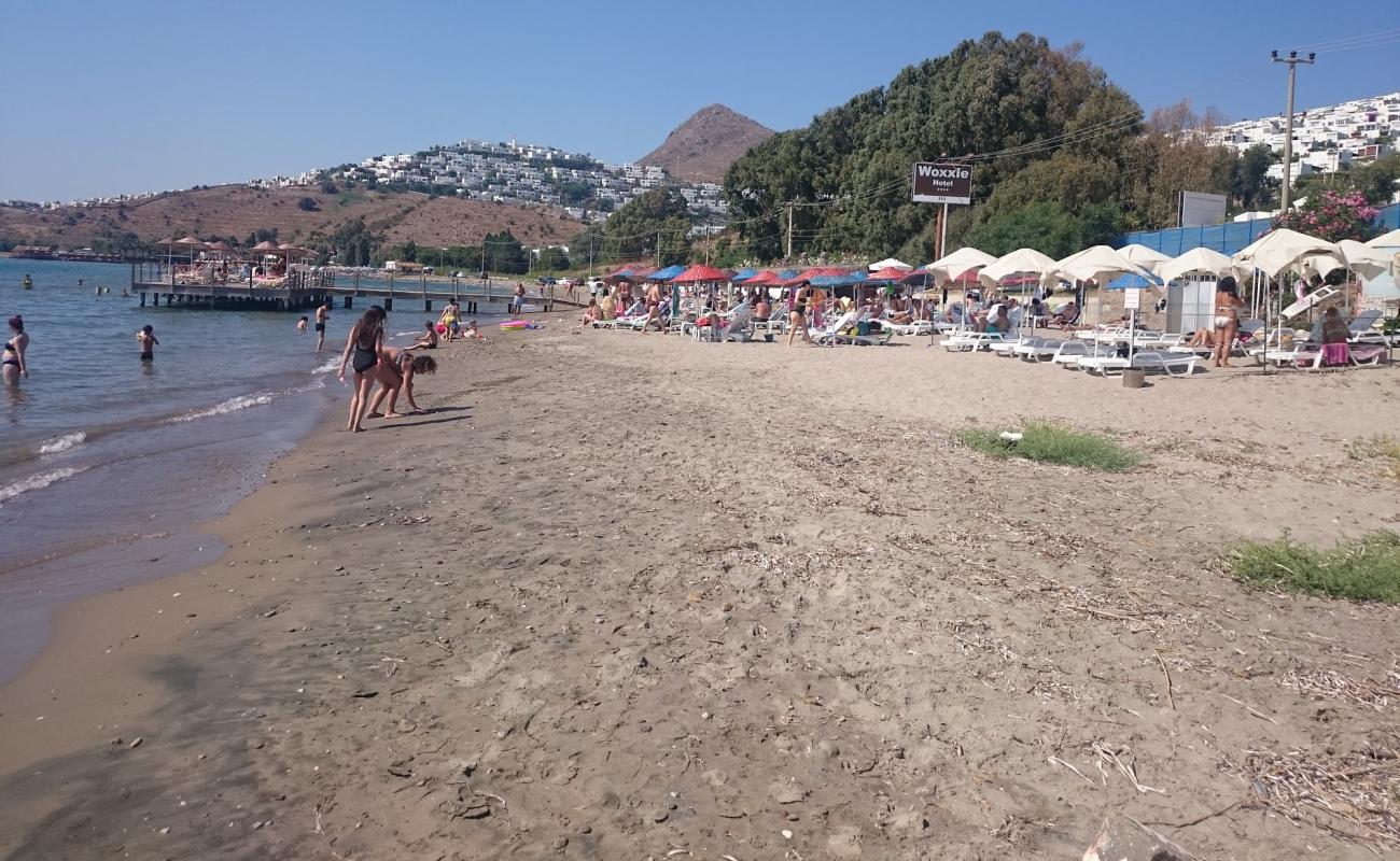 Photo de Karadag beach avec sable brun de surface