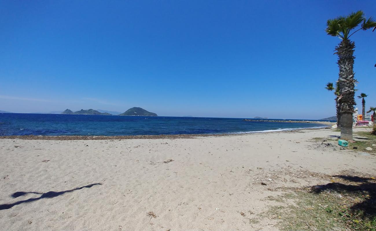 Photo de Ayvan beach avec sable beige & galets de surface
