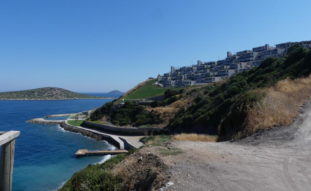 Photo de Vega beach avec béton de surface