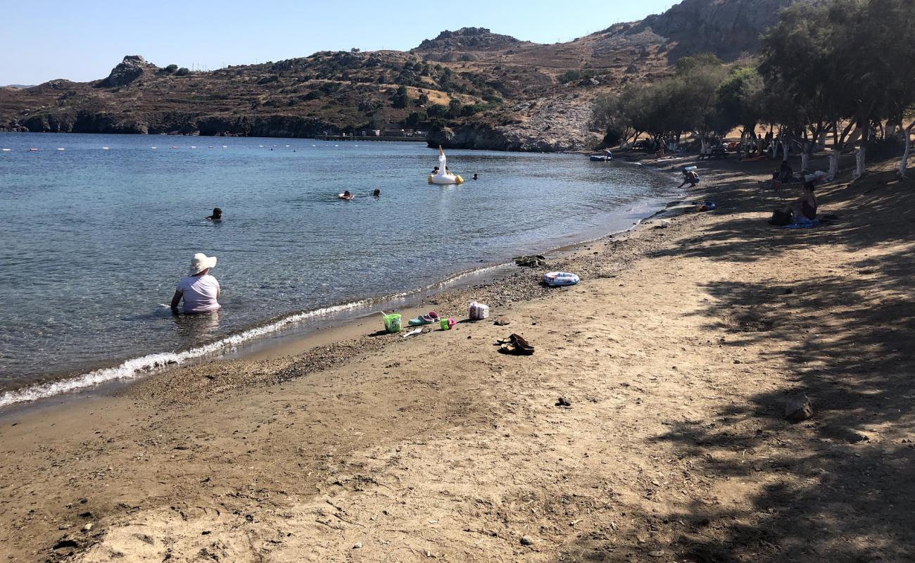 Photo de Kudur beach avec sable beige & galets de surface