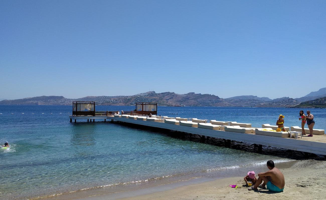 Photo de Dodo Plage avec sable beige fin de surface