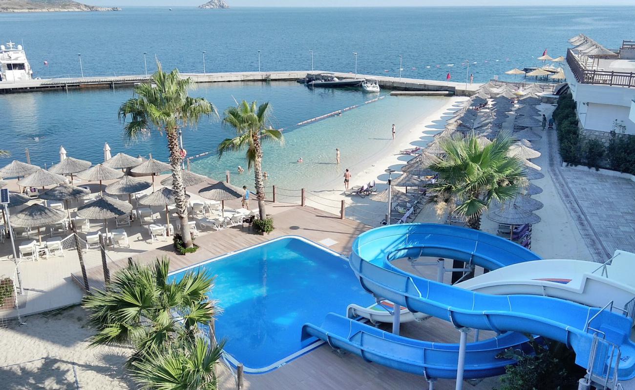 Photo de Hôtel Delta Plage avec sable beige fin de surface