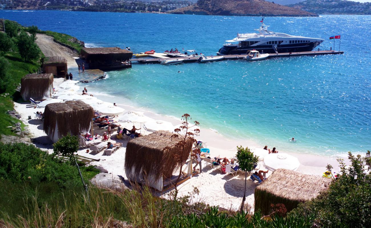 Photo de Palmalife Hotel Beach avec sable blanc de surface