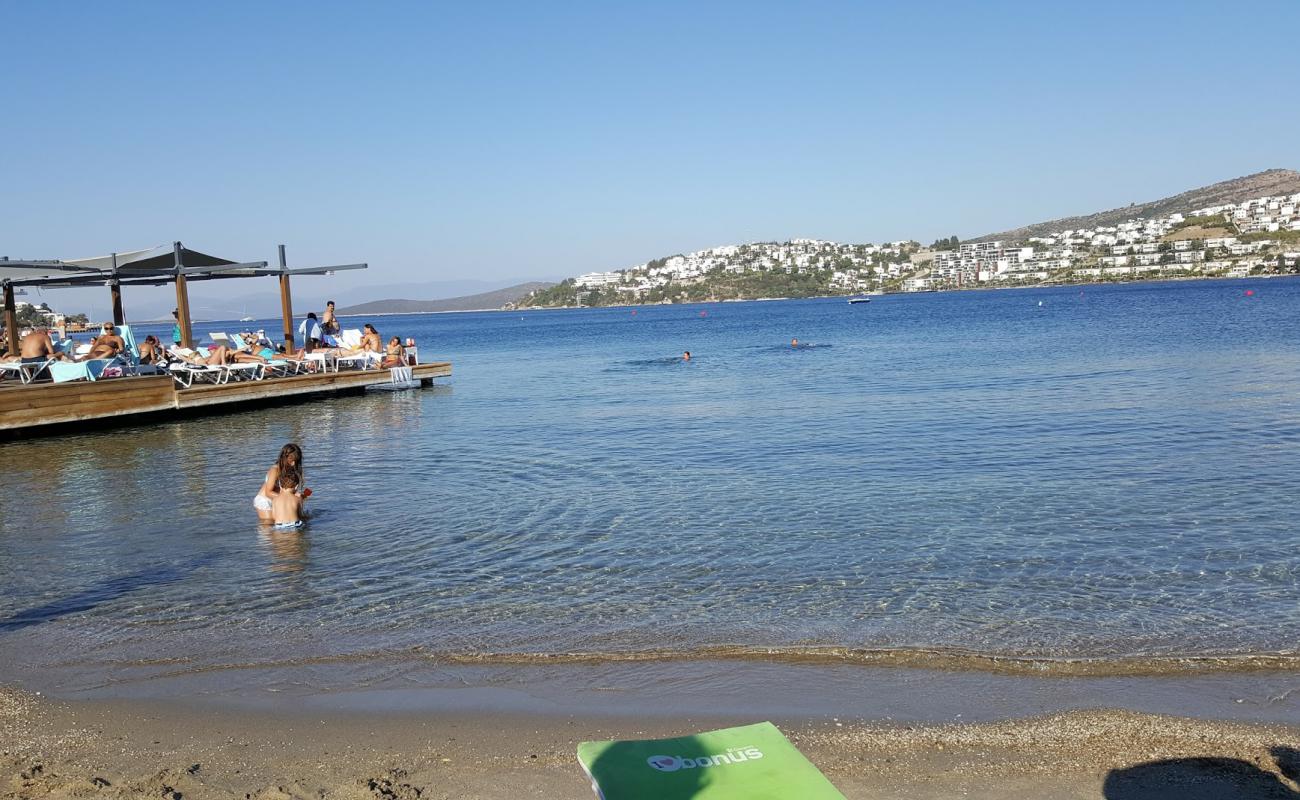 Photo de Seba Farilya Beach avec sable gris de surface