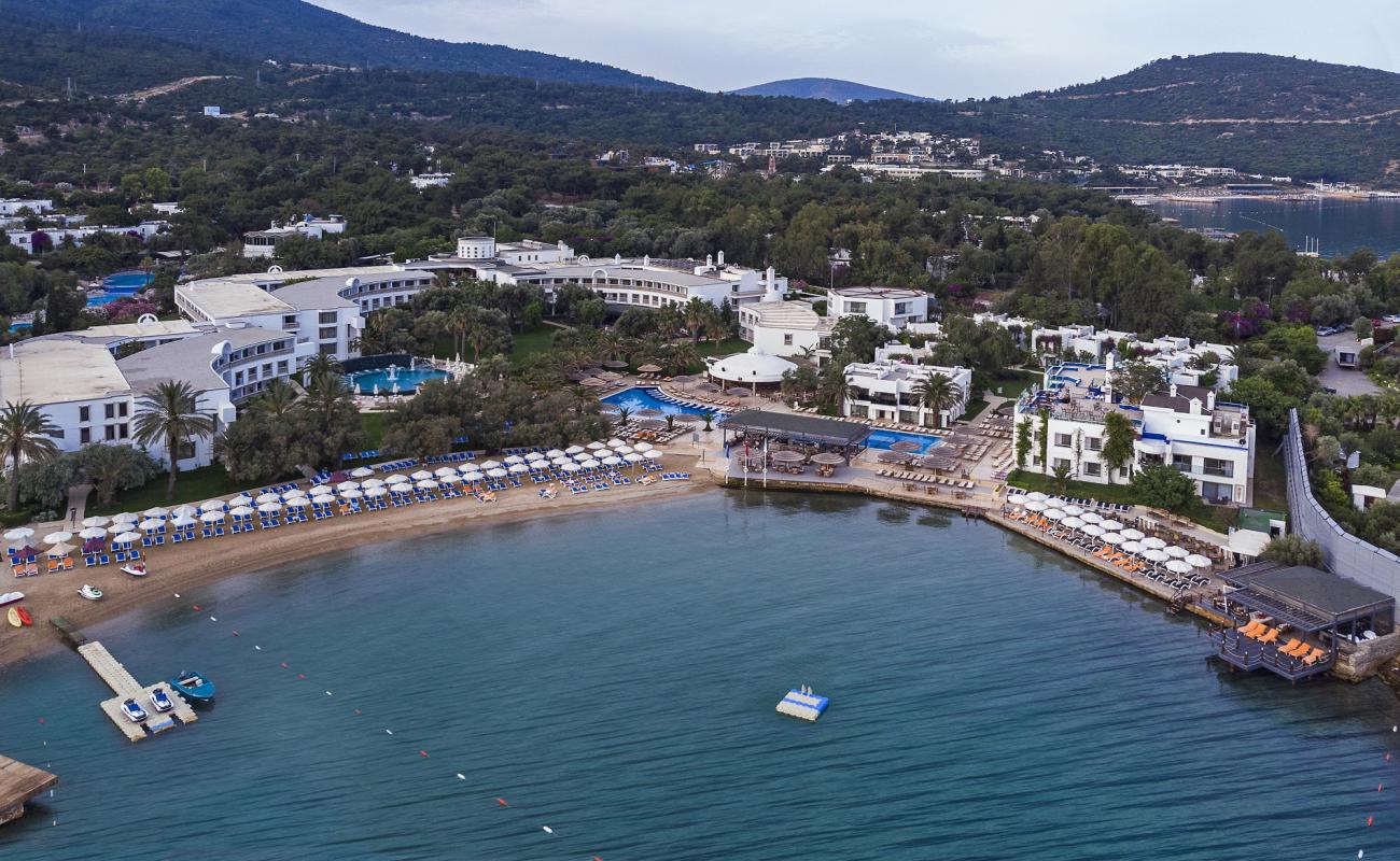 Photo de Samara Hotel Beach avec sable beige fin de surface