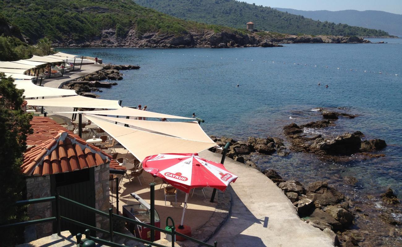 Photo de Le Meridien Beach II avec béton de surface