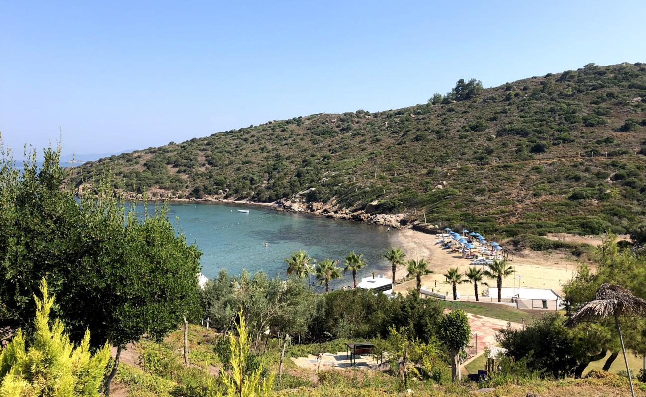 Photo de Regnum-Samtepe Beach avec sable lumineux de surface