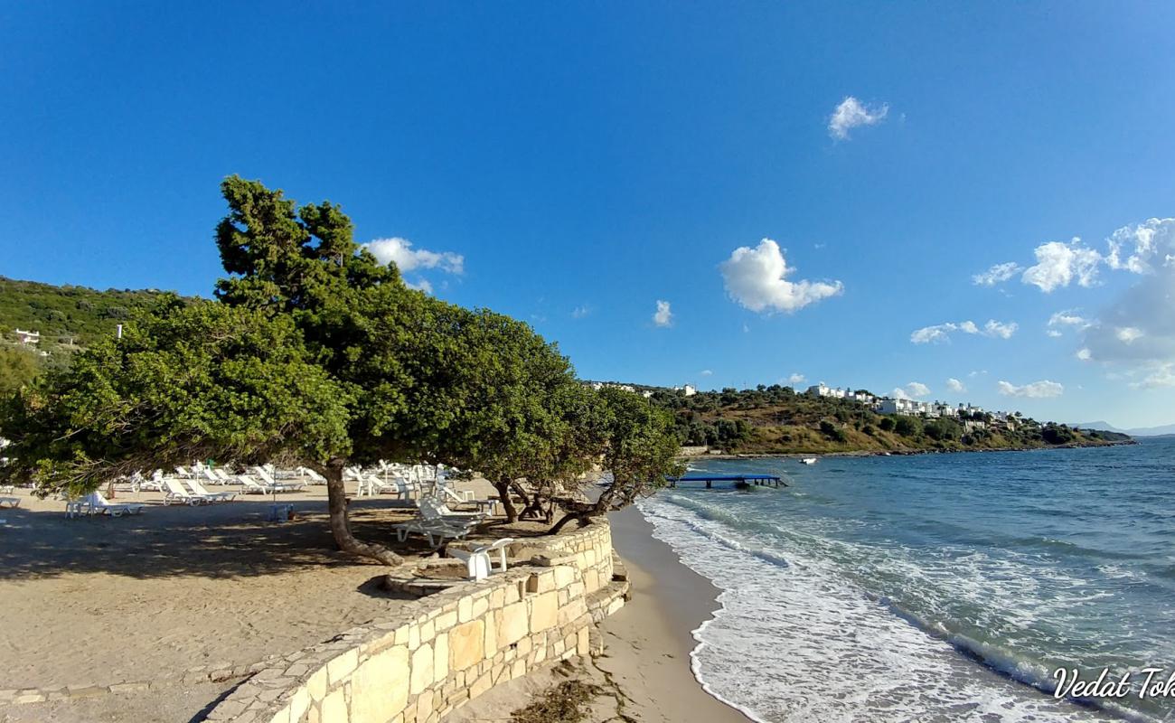 Photo de Urga Beach II avec petite baie