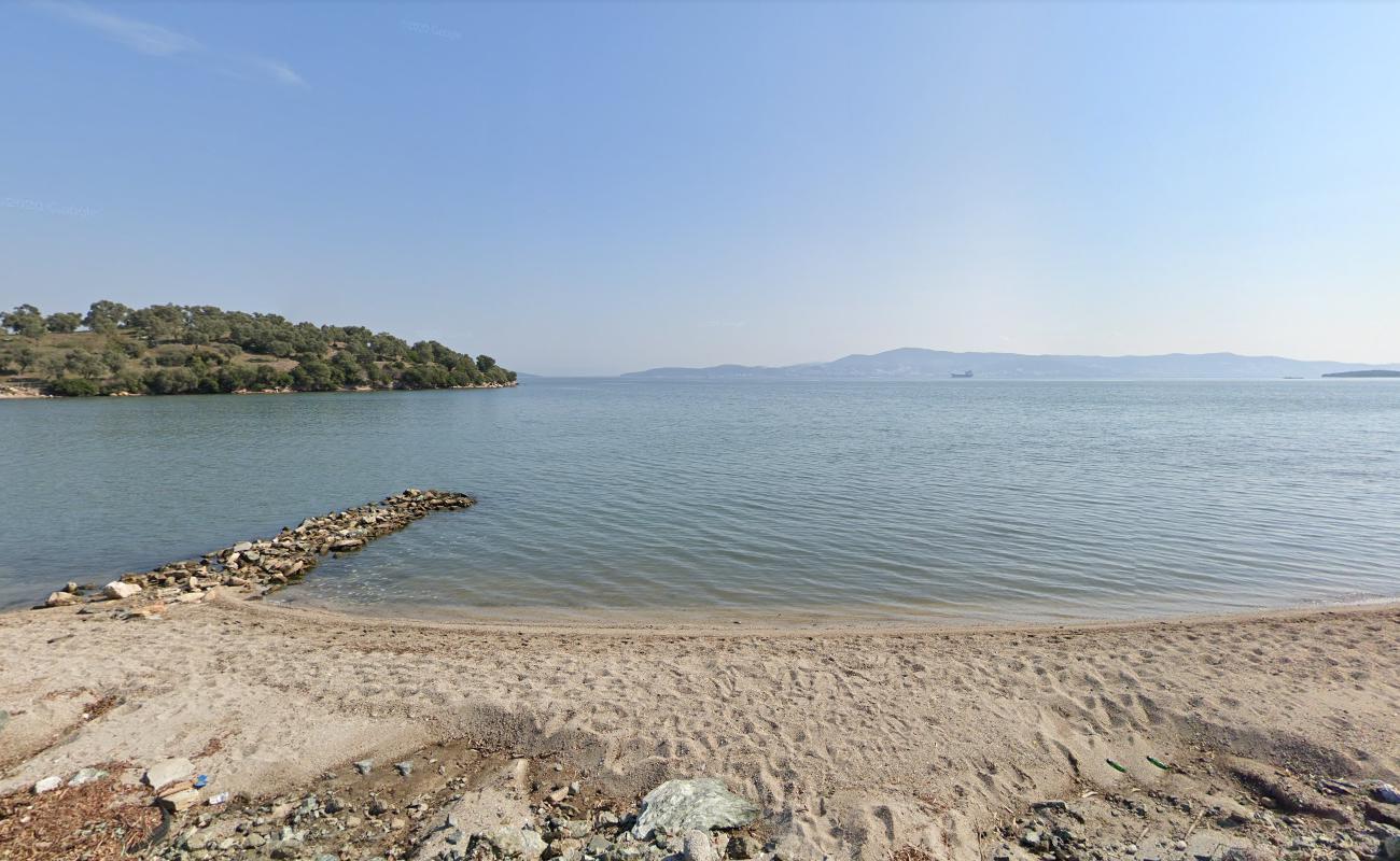 Photo de Ceyar Beach avec l'eau cristalline de surface