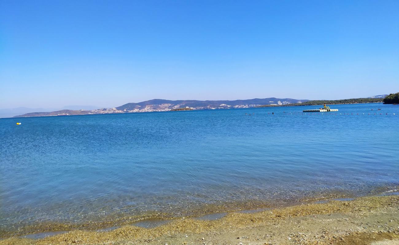 Photo de Iassos beach avec sable beige & pierres de surface
