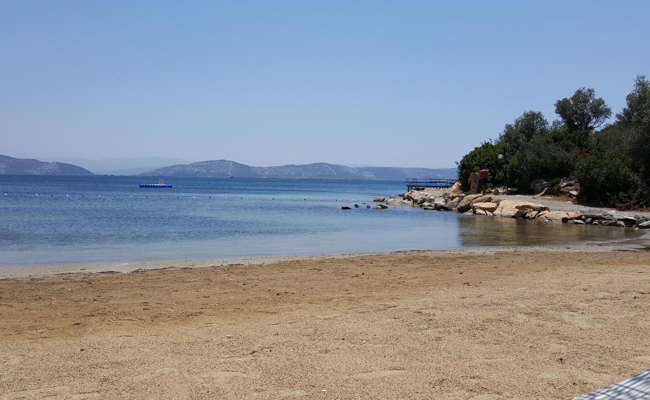 Photo de Tepekoy Cd. beach avec sable clair avec caillou de surface