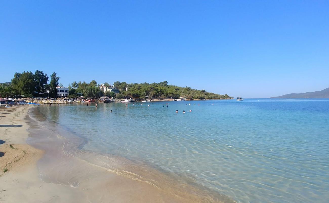 Photo de Zeytinli Beach avec sable lumineux de surface