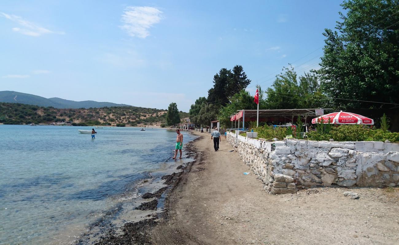 Photo de Gurchamlar beach avec sable beige & galets de surface